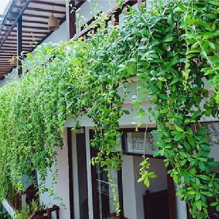 Riverside Plum Garden Villa Hoi An Exterior foto